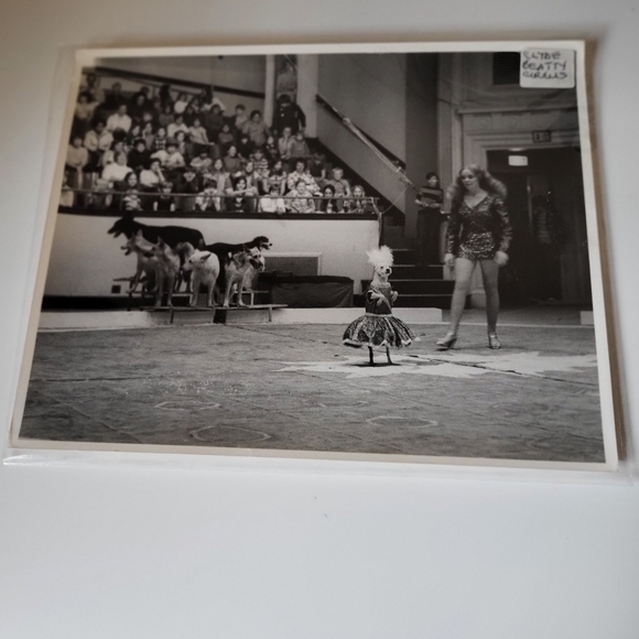 Vintage Black and White Photograph Clyde Beatty Circus 1973 Canine Circus Act - Picture 8 of 16
